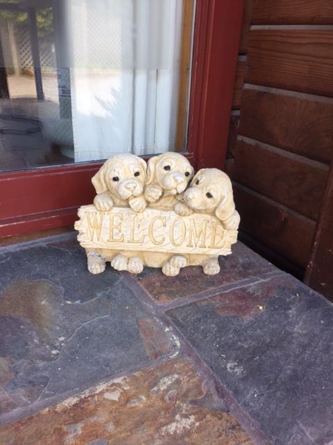 Travellers Retreat B&B Christchurch Luaran gambar