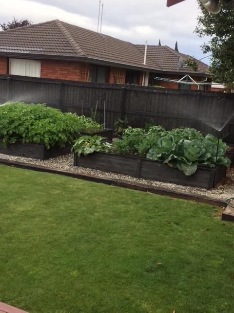 Travellers Retreat B&B Christchurch Luaran gambar